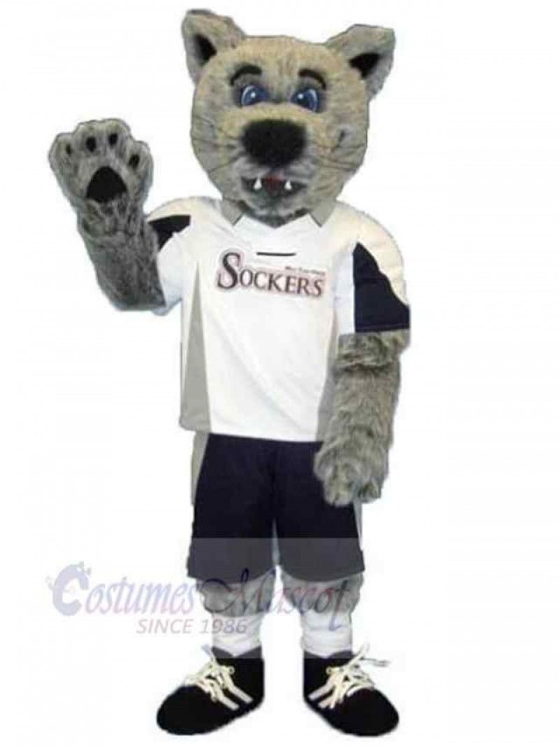 Wolf mascot costume