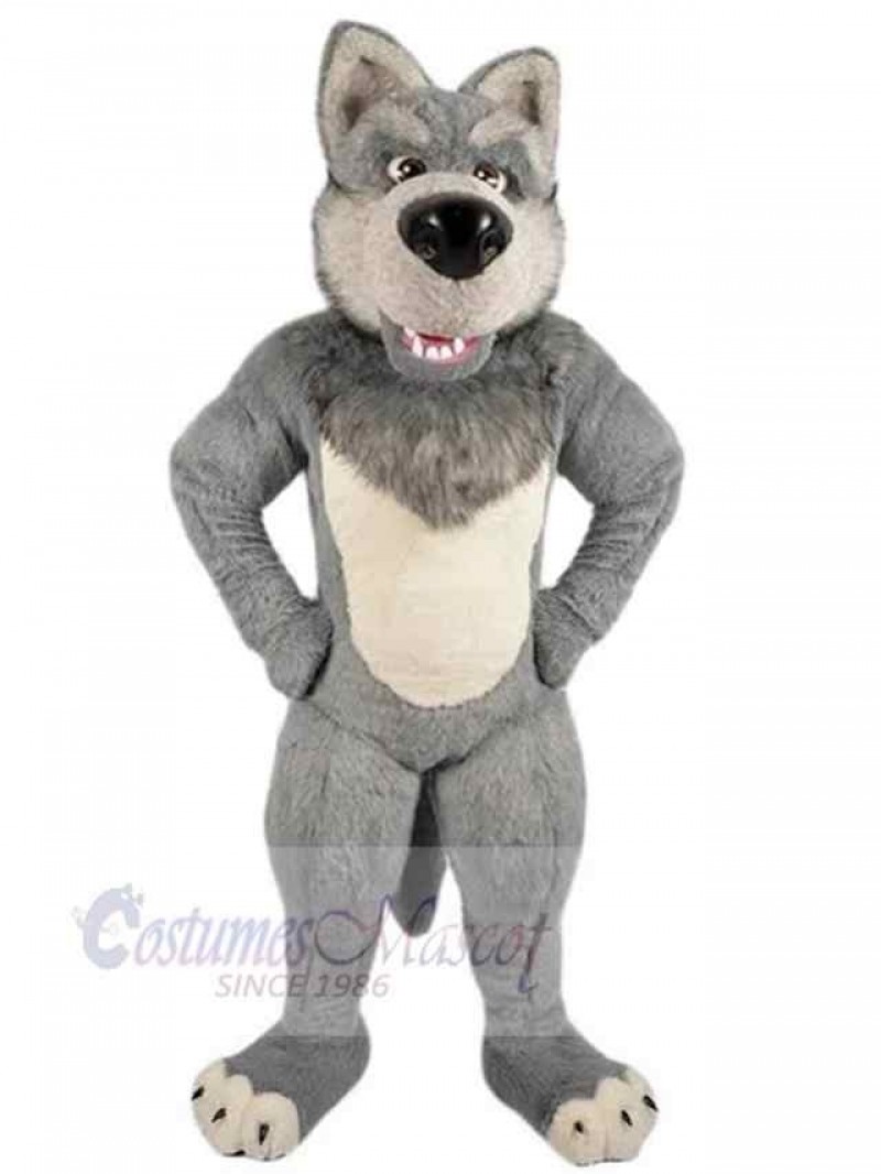 Wolf mascot costume