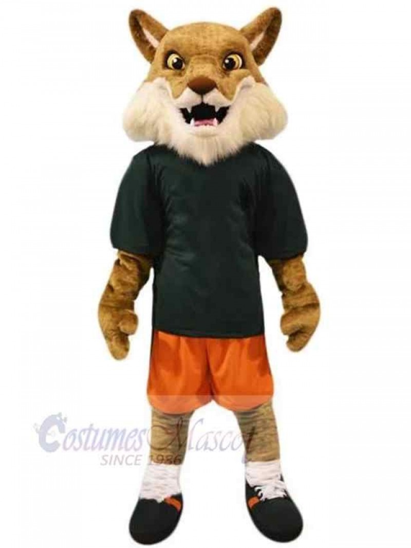 Wolf mascot costume