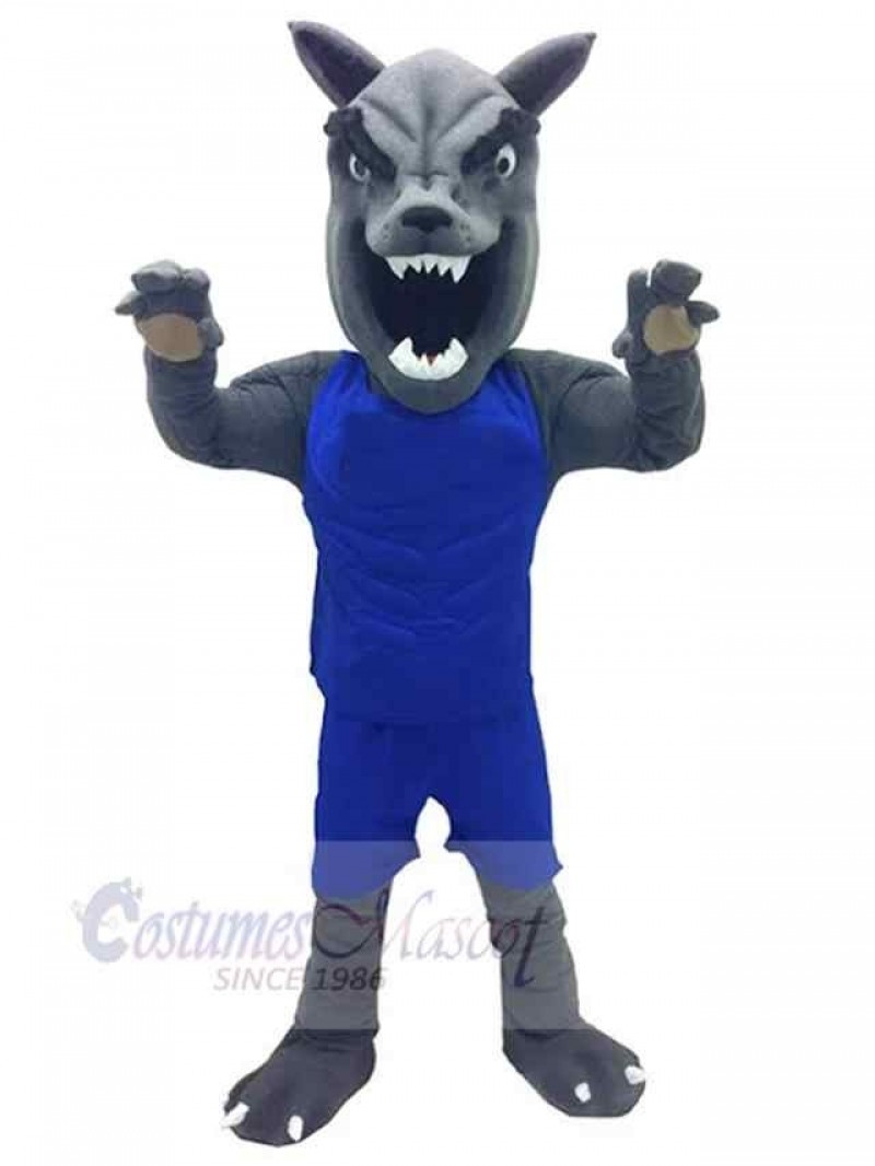 Wolf mascot costume