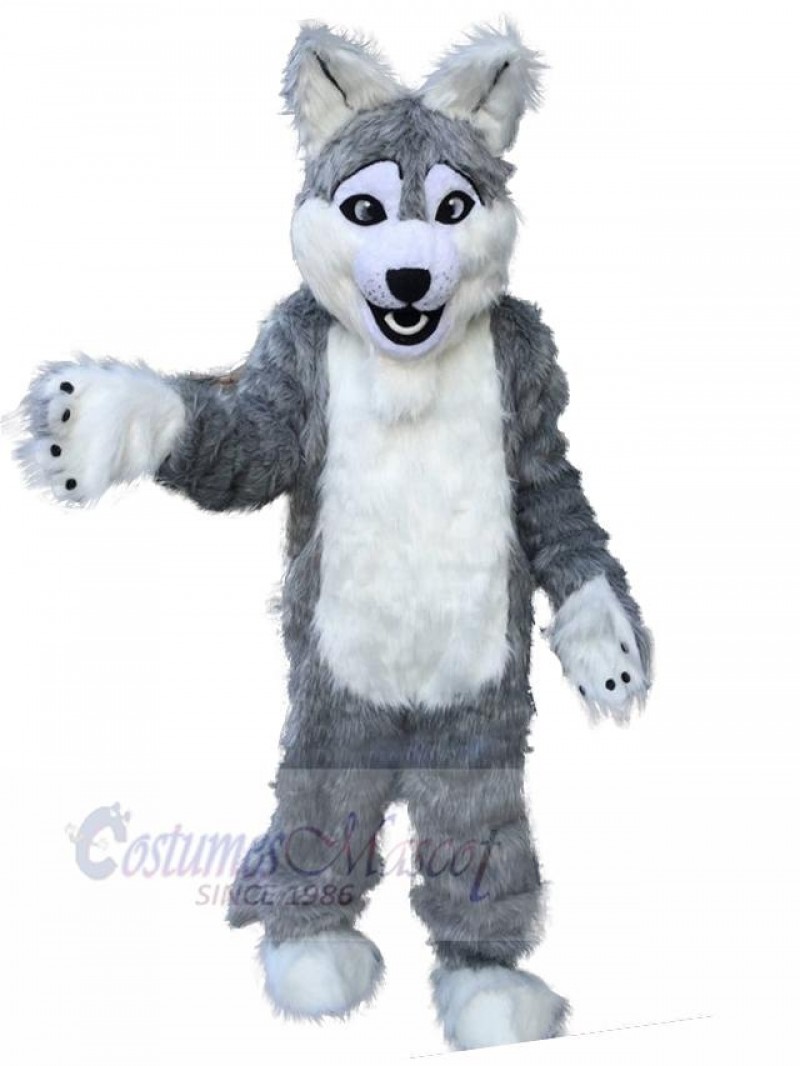 Wolf mascot costume