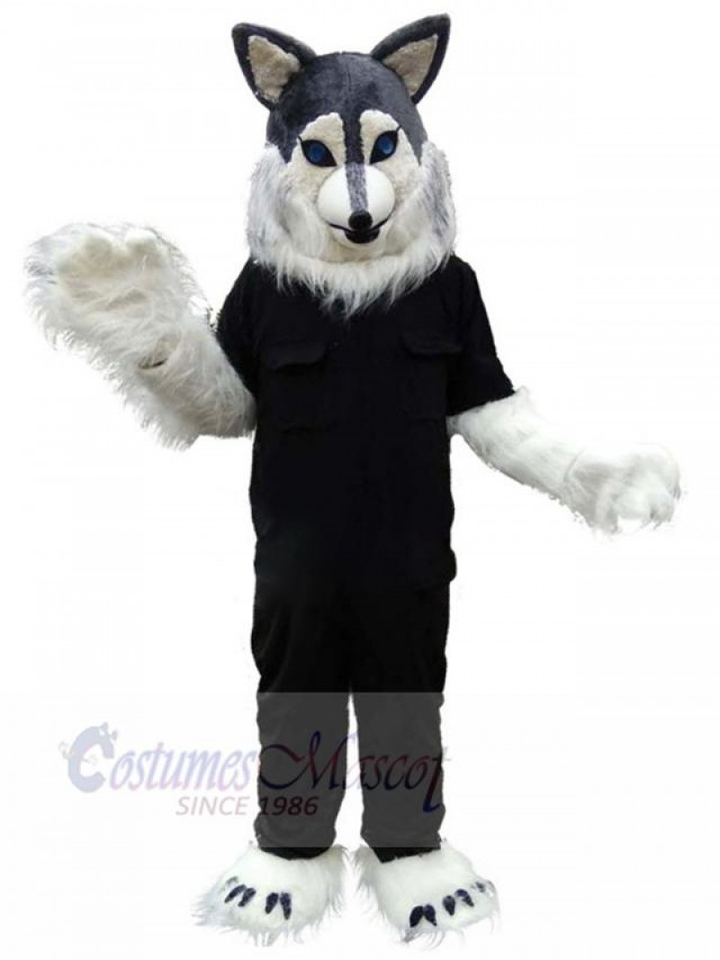 Wolf mascot costume