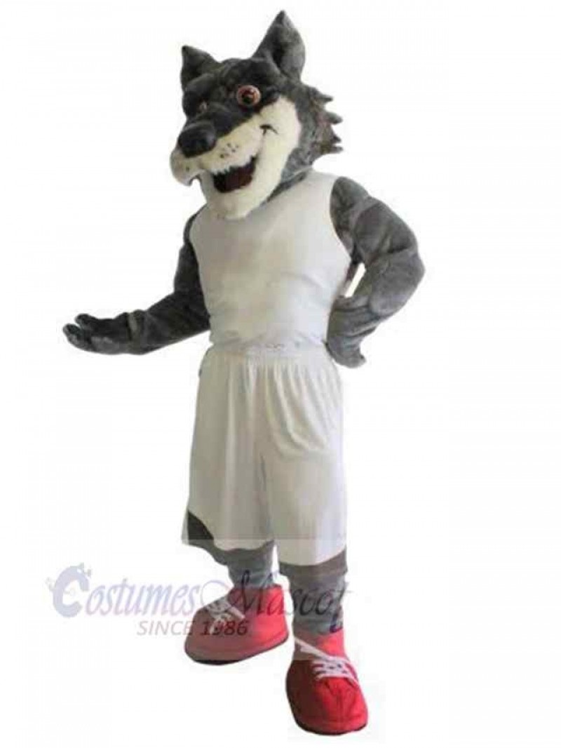 Wolf mascot costume