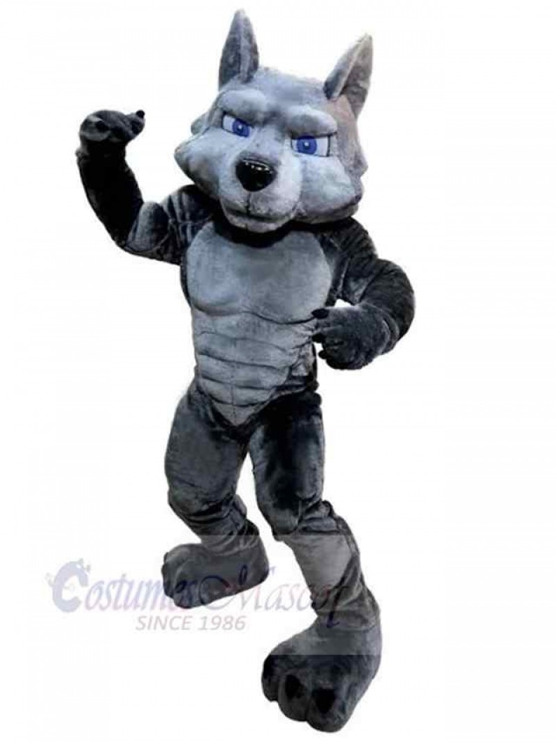 Wolf mascot costume