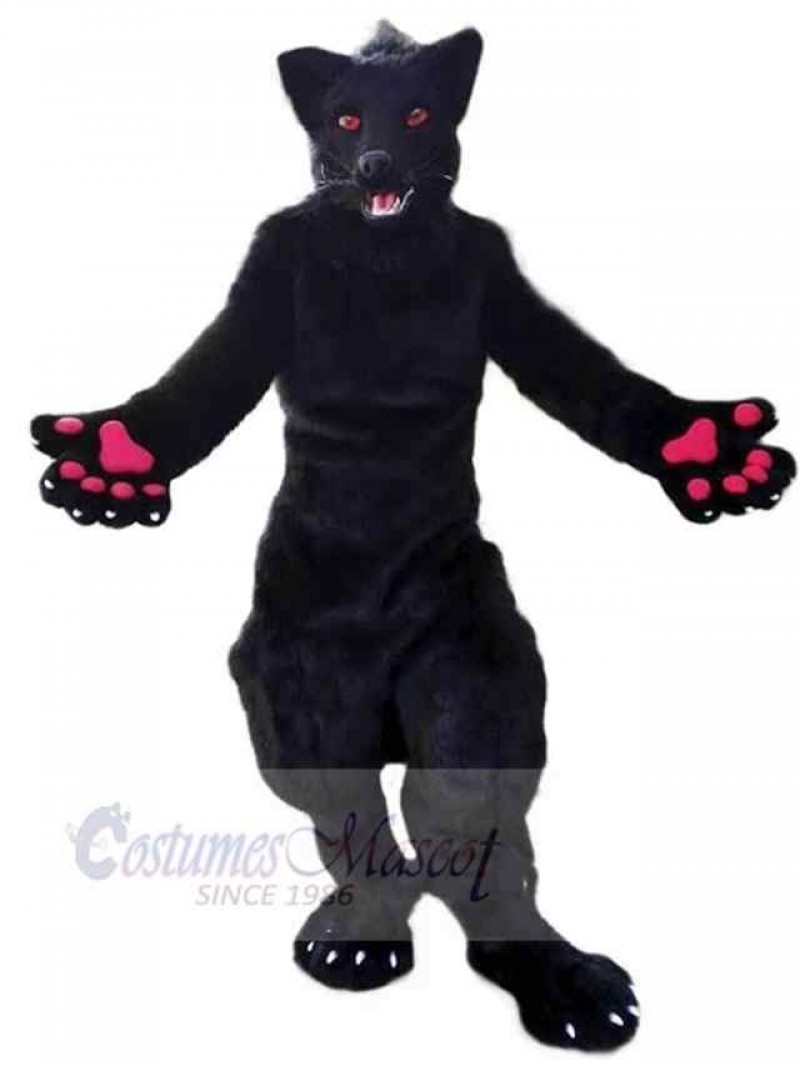Wolf mascot costume