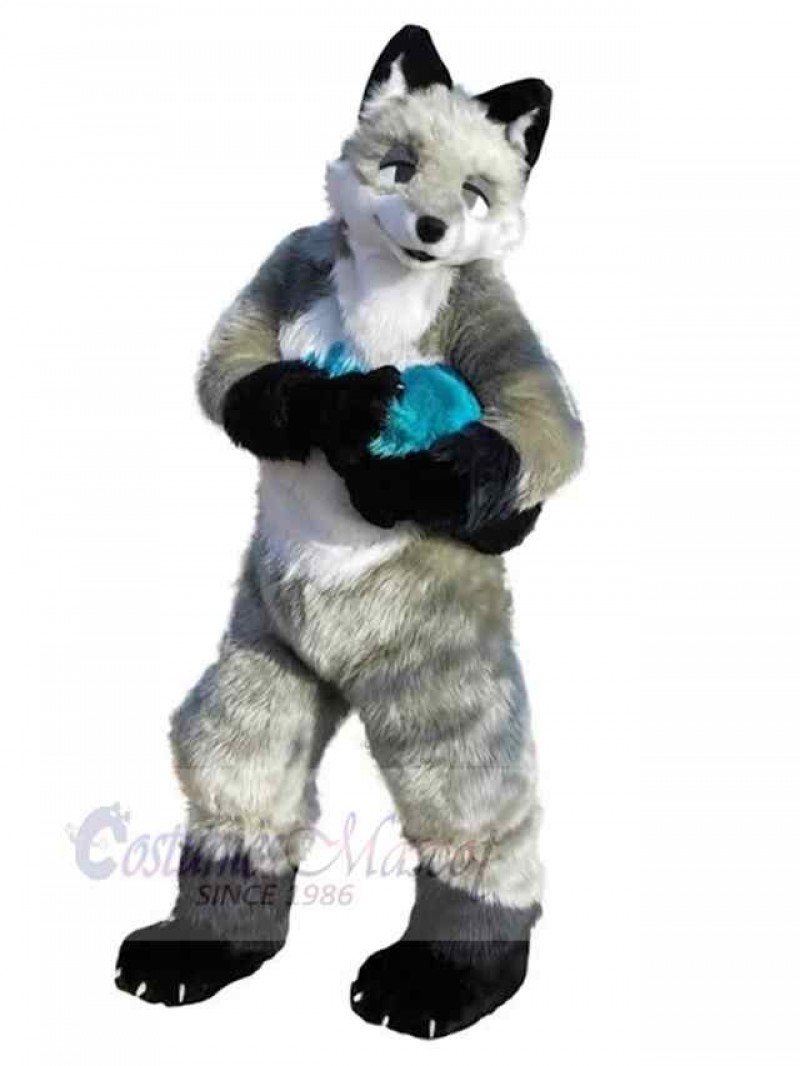 Wolf mascot costume