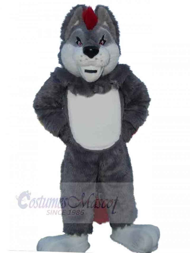 Wolf mascot costume