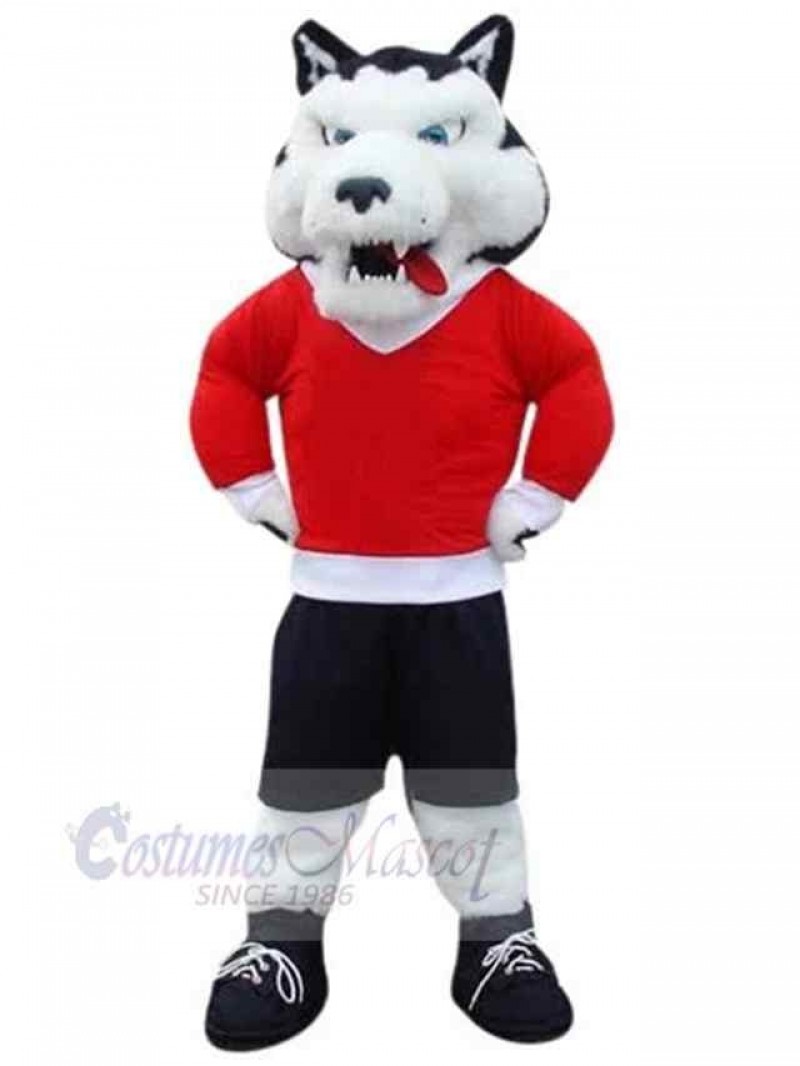 Wolf mascot costume