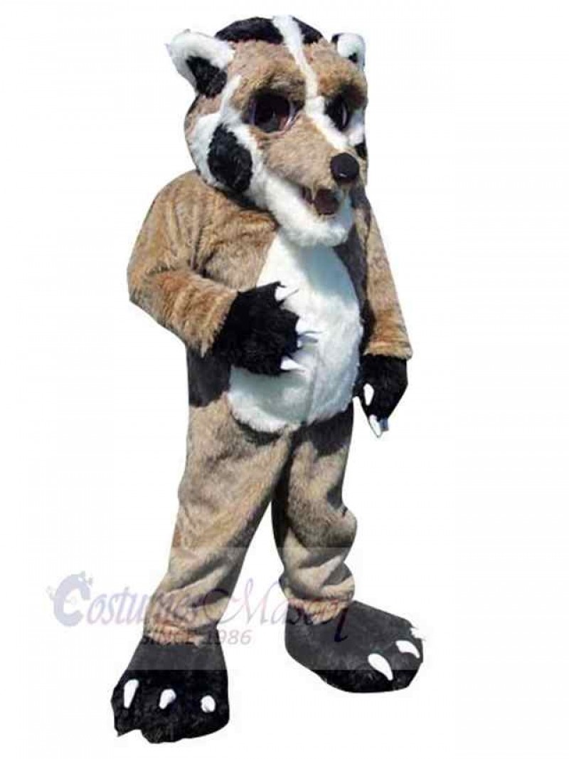 Wolf mascot costume