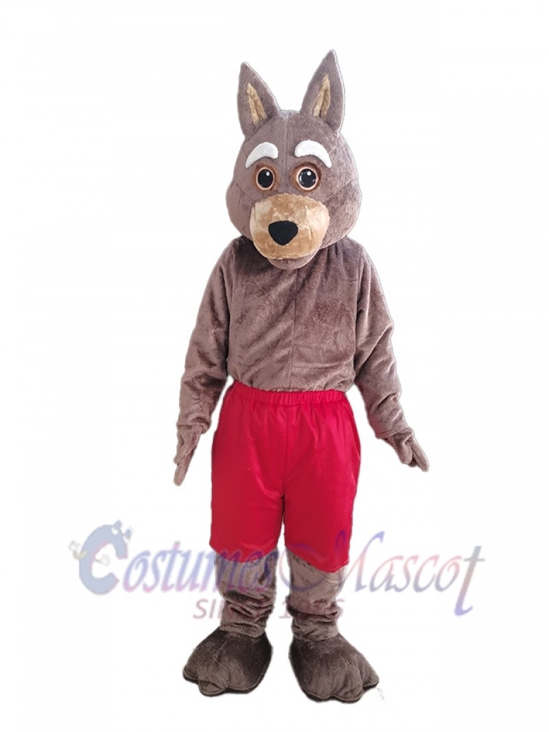 Coyote mascot costume