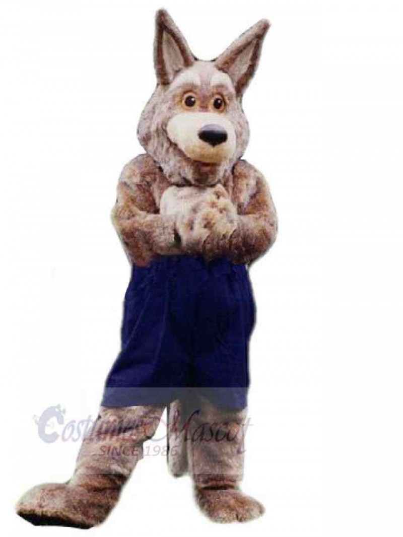 Wolf mascot costume