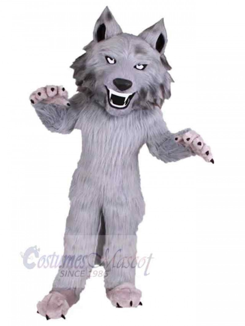 Wolf mascot costume