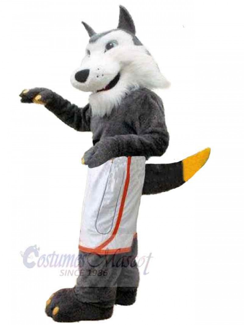Wolf mascot costume