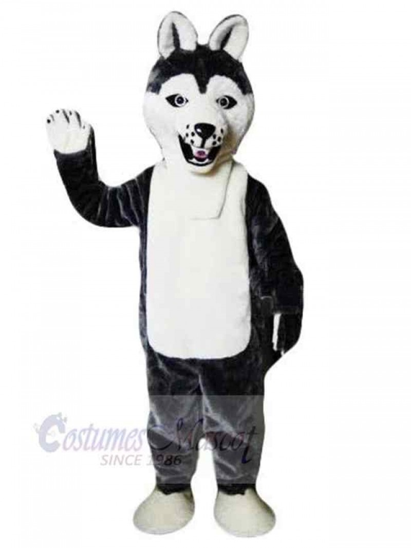 Wolf mascot costume