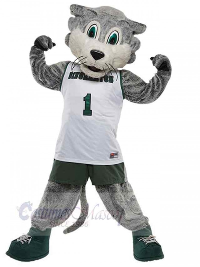 Wolf mascot costume