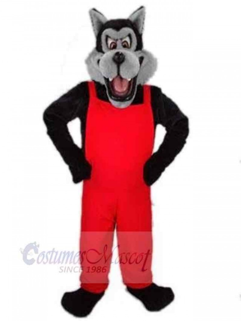 Wolf mascot costume