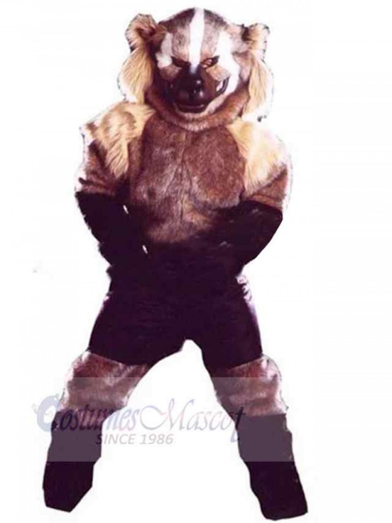 Wolf mascot costume
