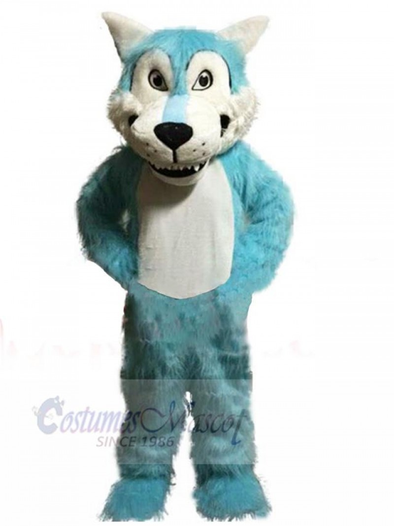 Wolf mascot costume