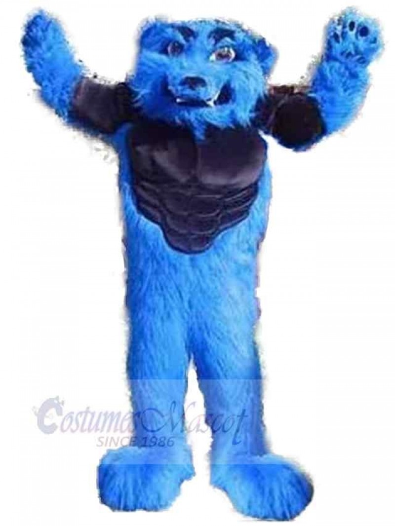 Wolf mascot costume