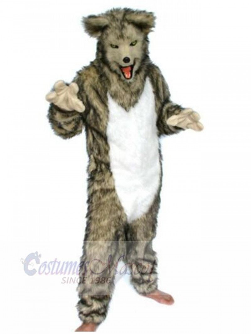 Wolf mascot costume