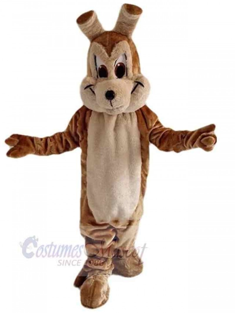 Wolf mascot costume