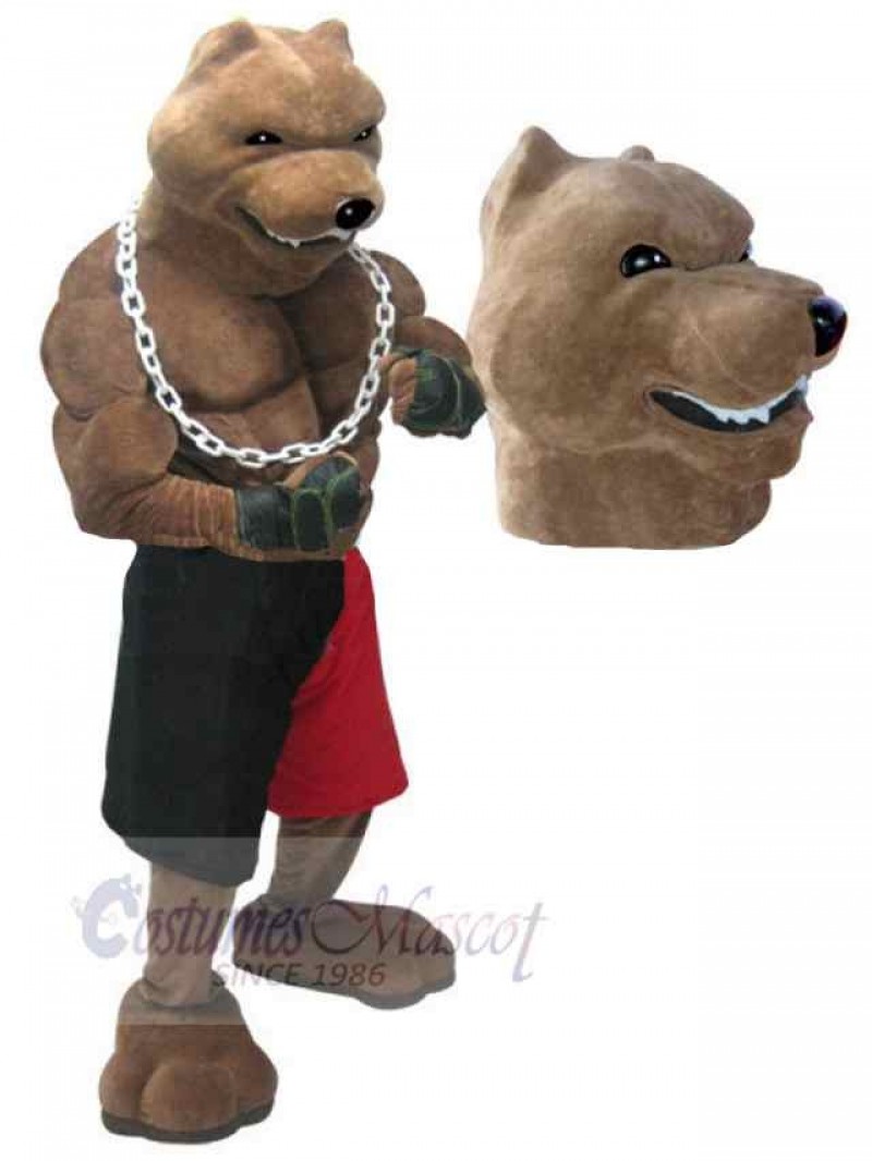 Wolf mascot costume