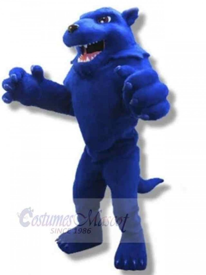 Wolf mascot costume