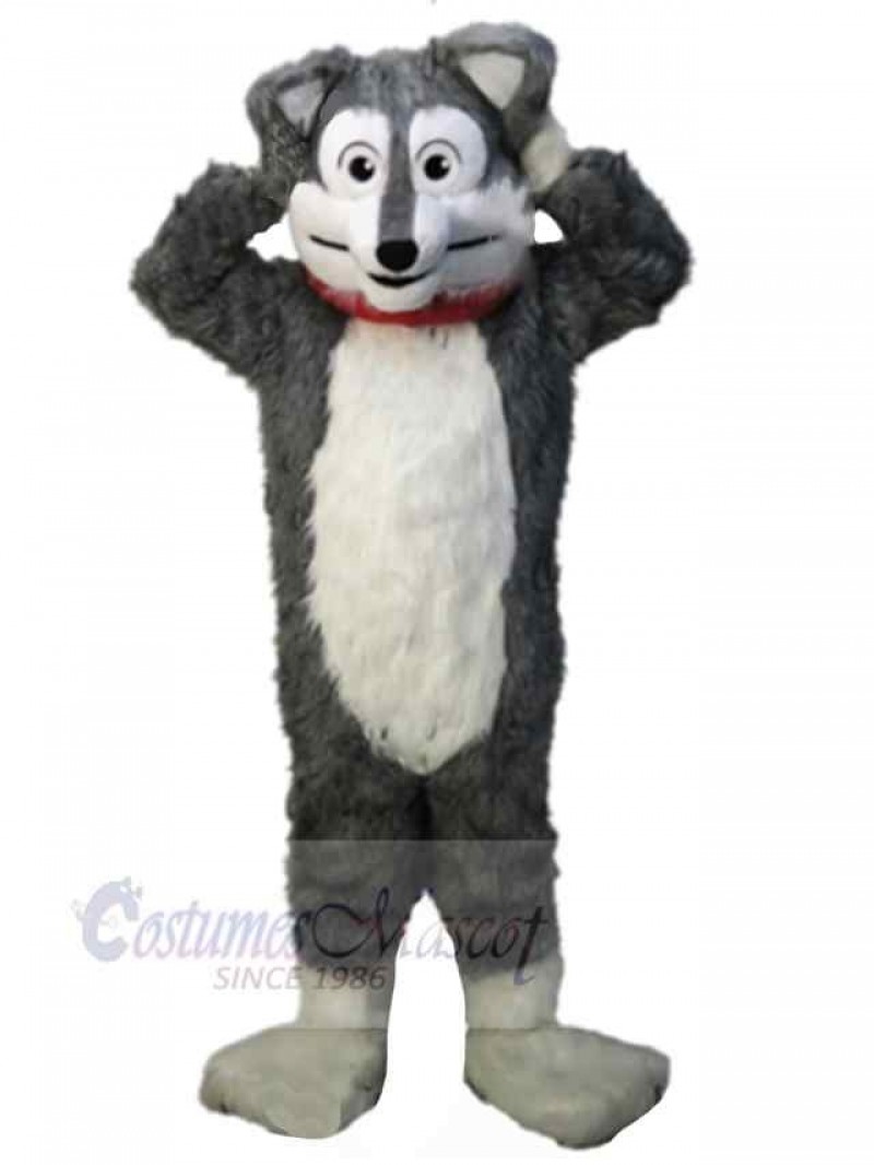 Wolf mascot costume