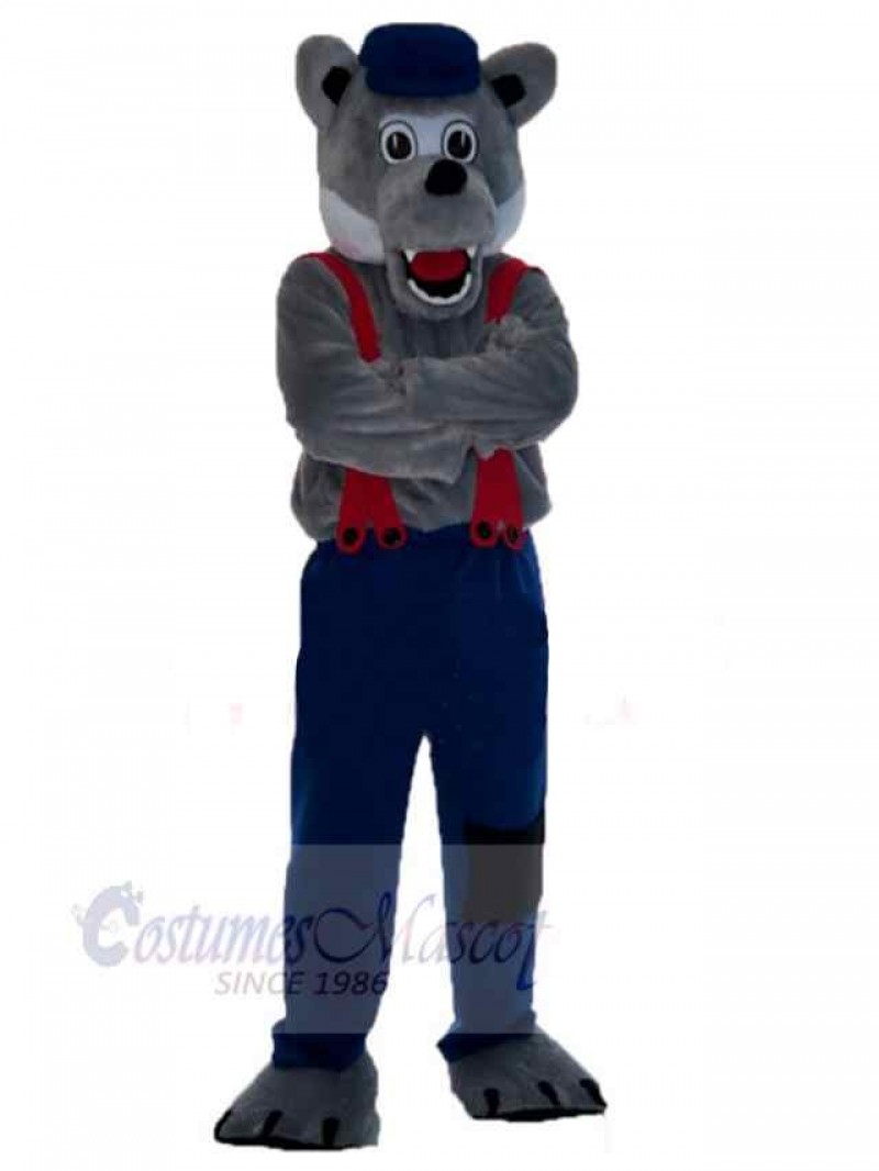 Wolf mascot costume