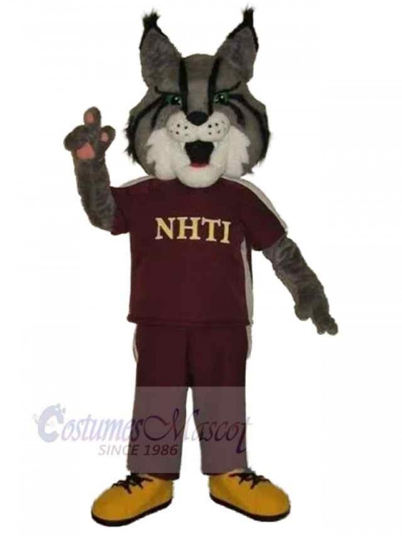 Wolf mascot costume