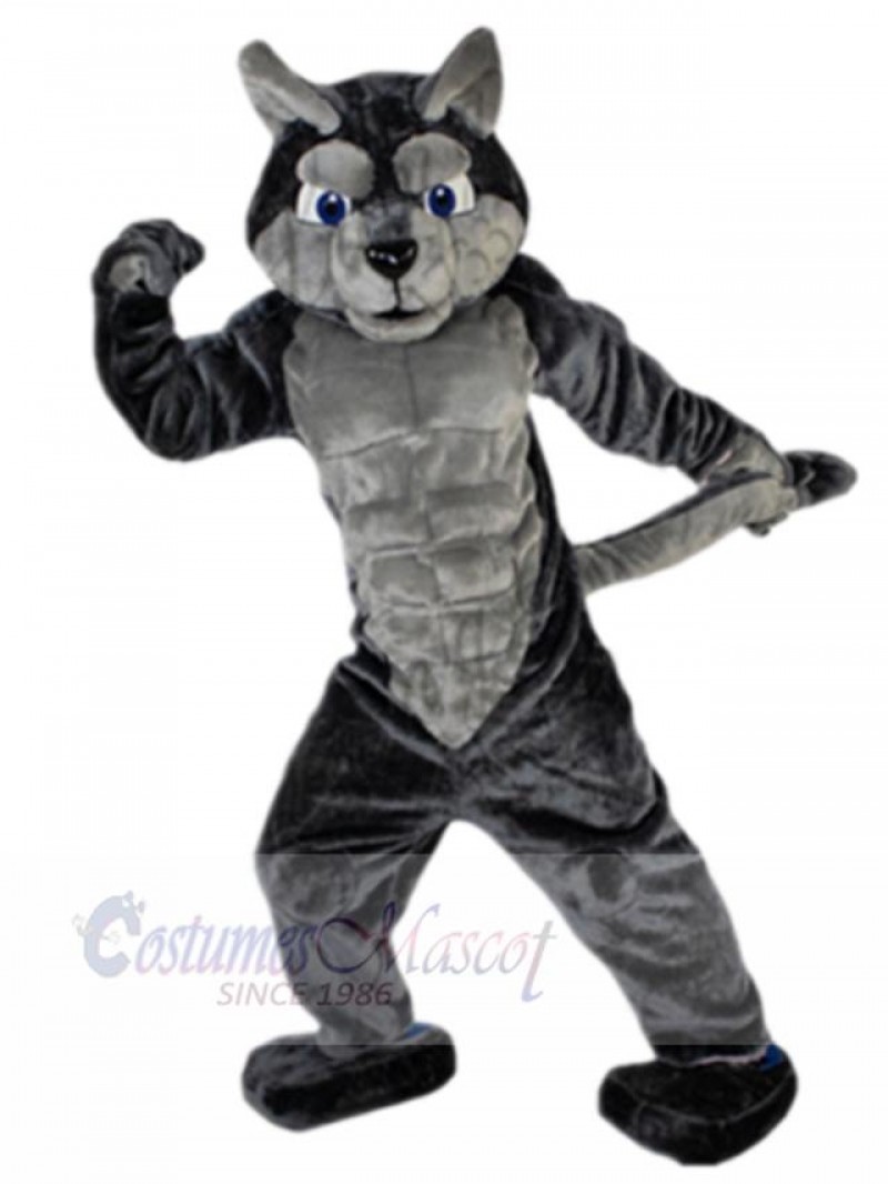 Wolf mascot costume