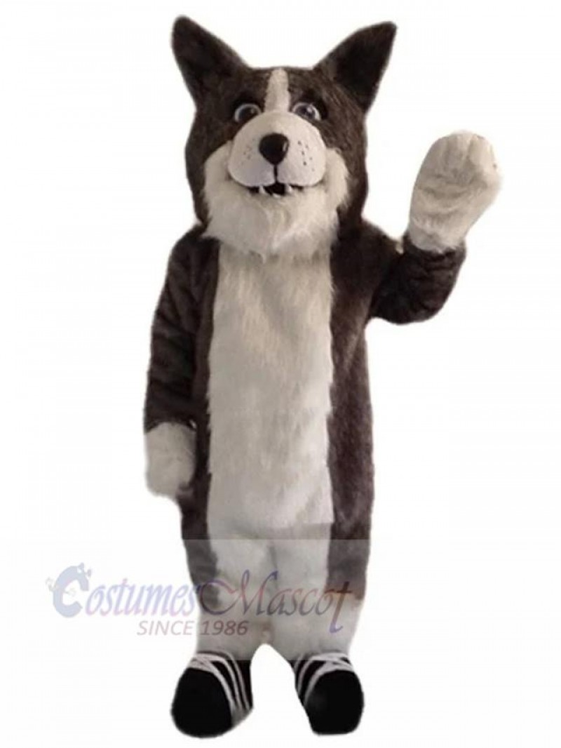 Wolf mascot costume