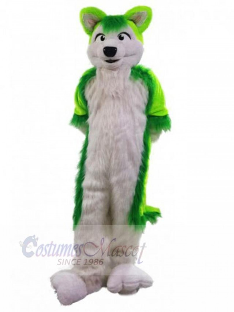 Wolf mascot costume