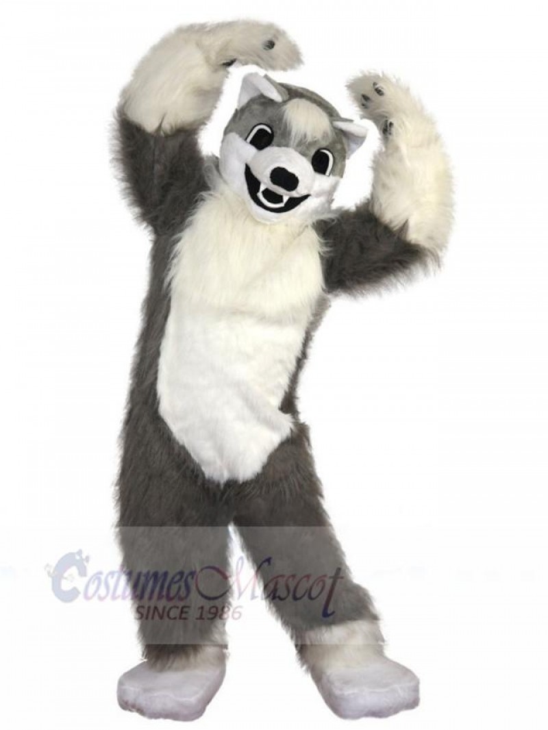 Wolf mascot costume