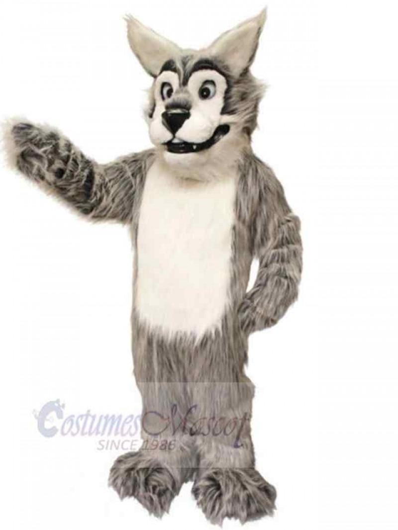 Wolf mascot costume