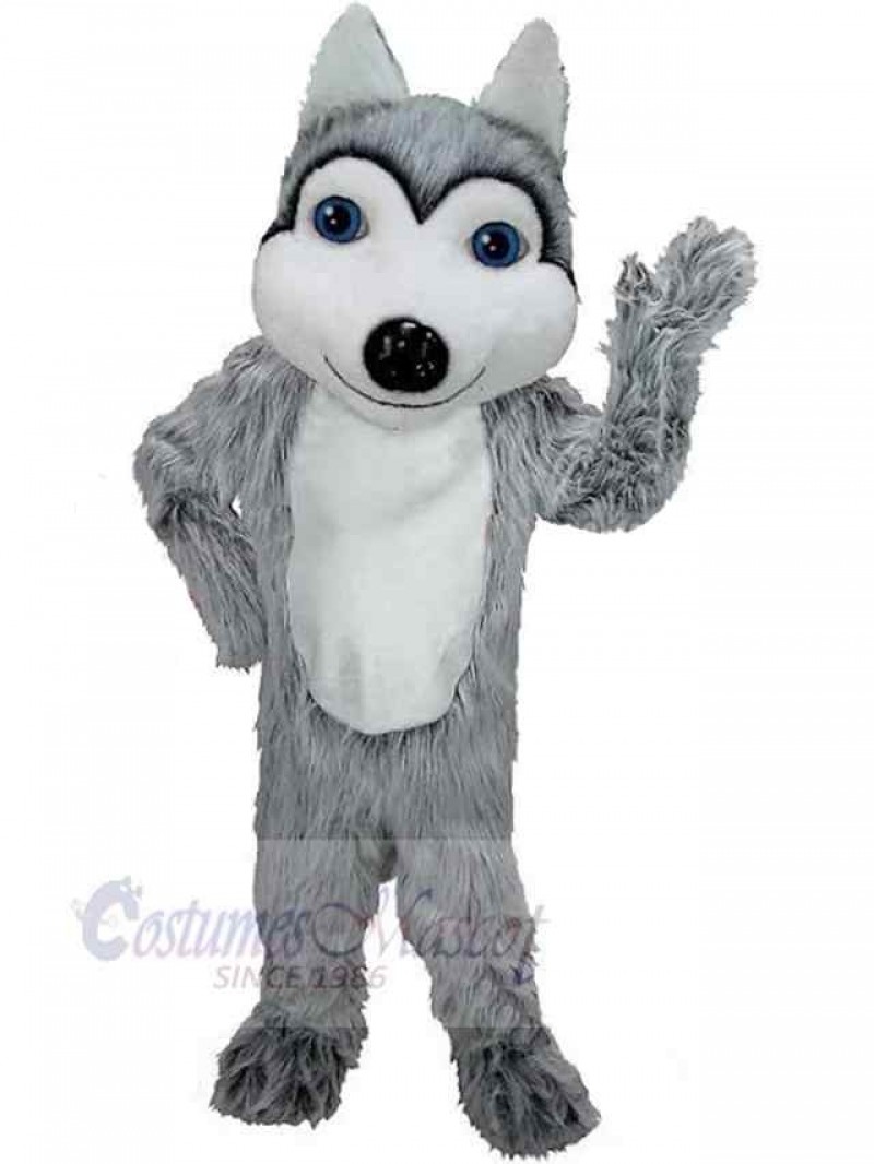 Wolf mascot costume