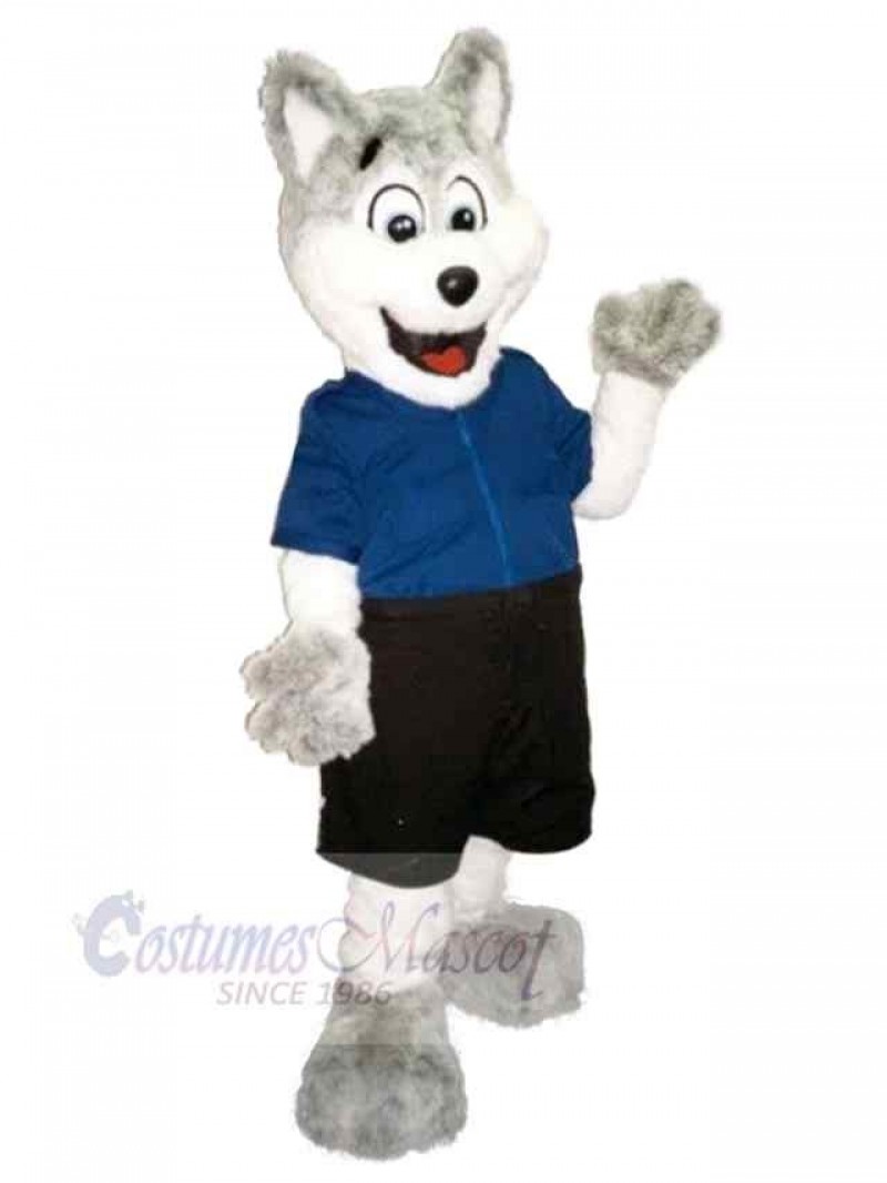 Wolf mascot costume