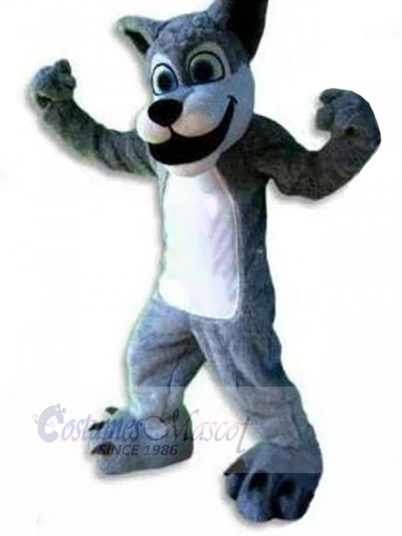 Wolf mascot costume