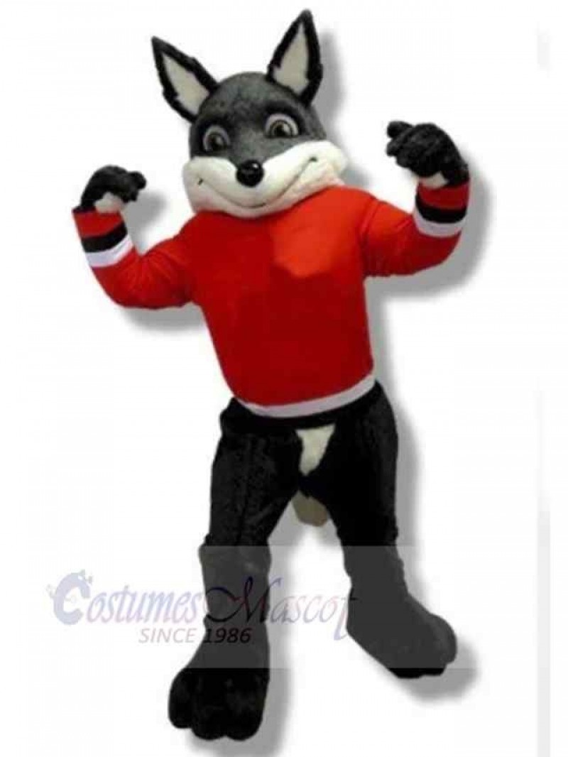 Wolf mascot costume
