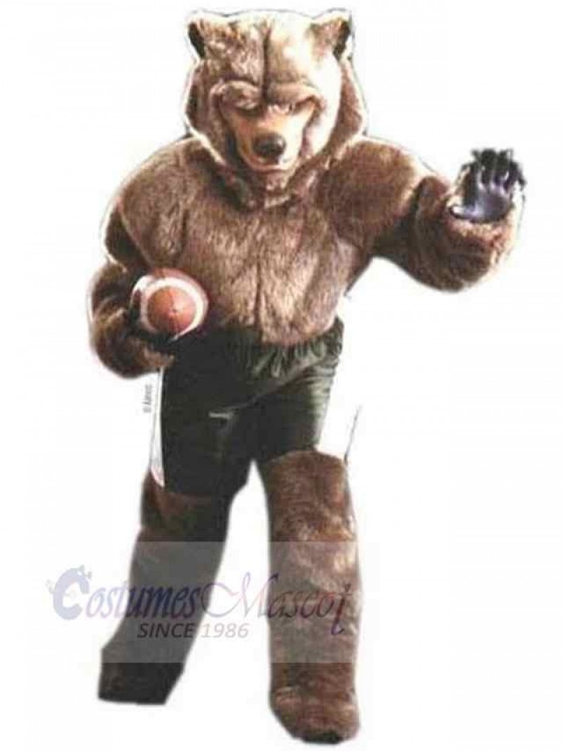 Wolf mascot costume