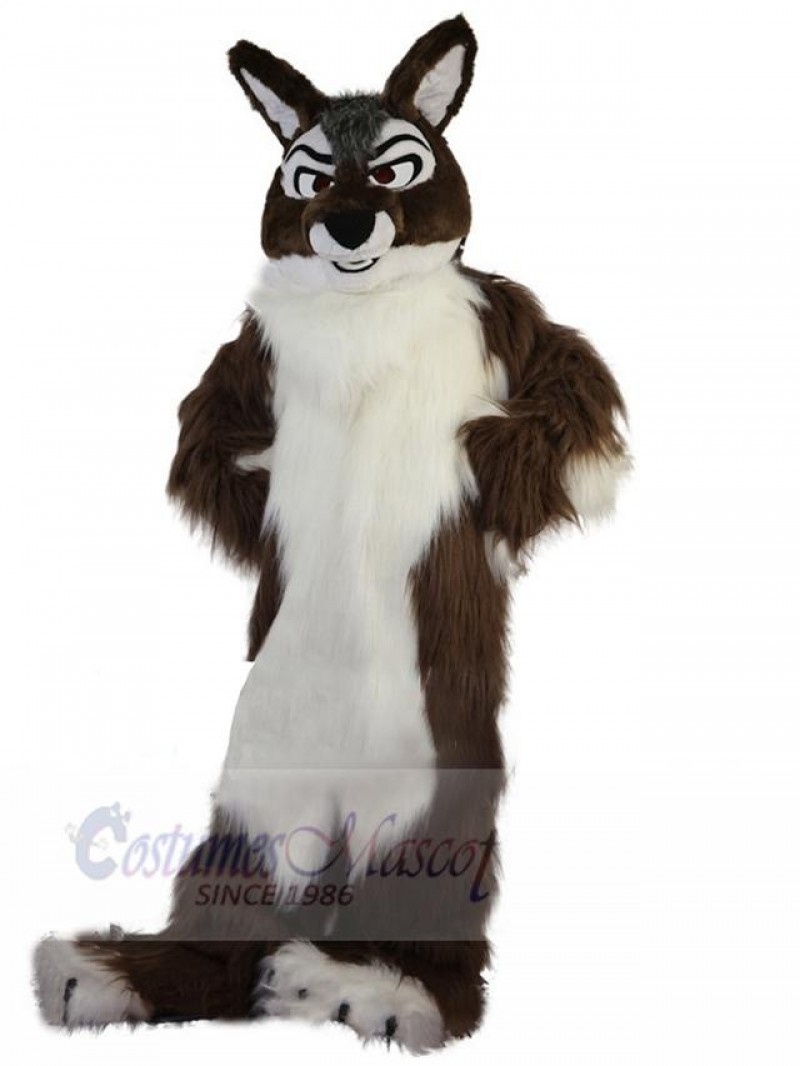 Wolf mascot costume