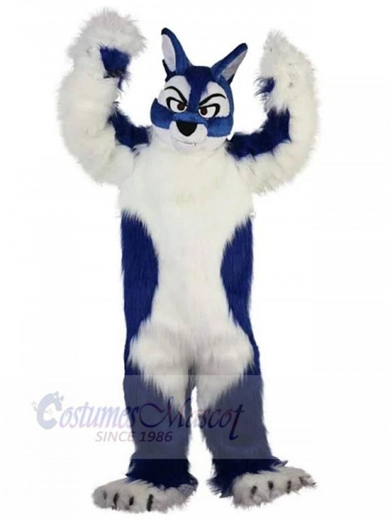 Wolf mascot costume