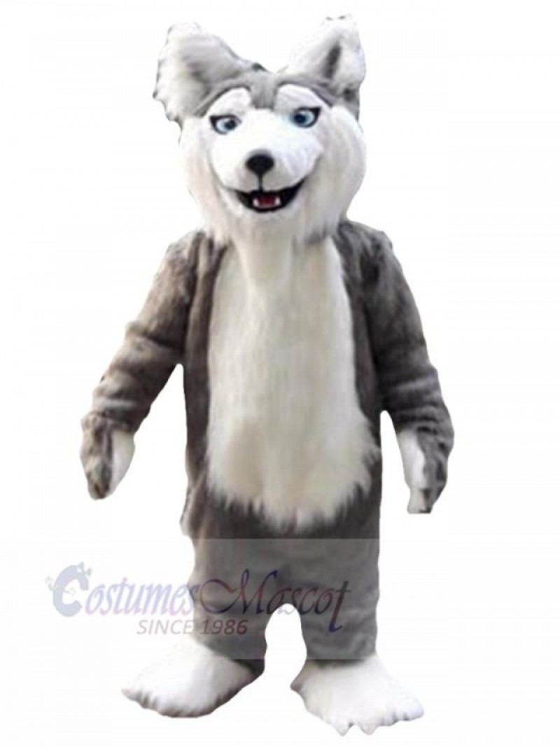 Wolf mascot costume