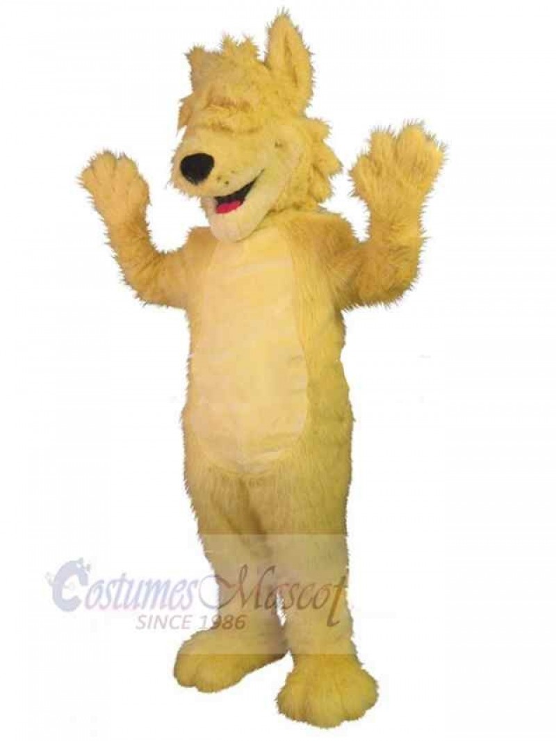 Wolf mascot costume