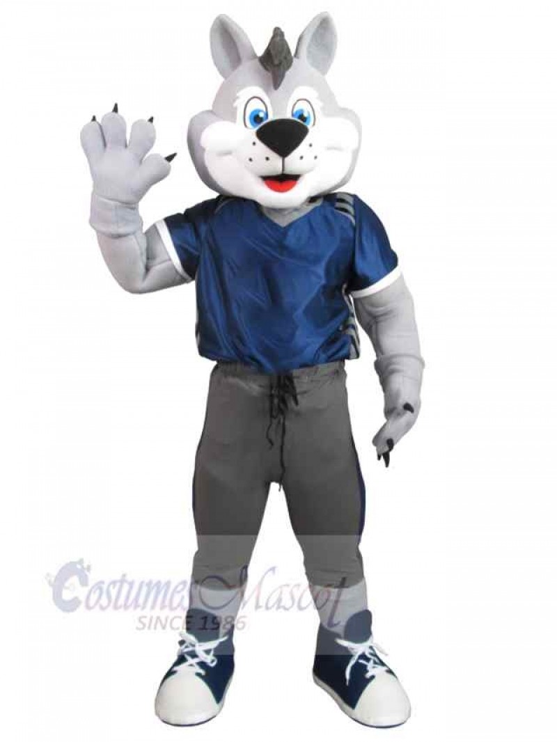 Wolf mascot costume