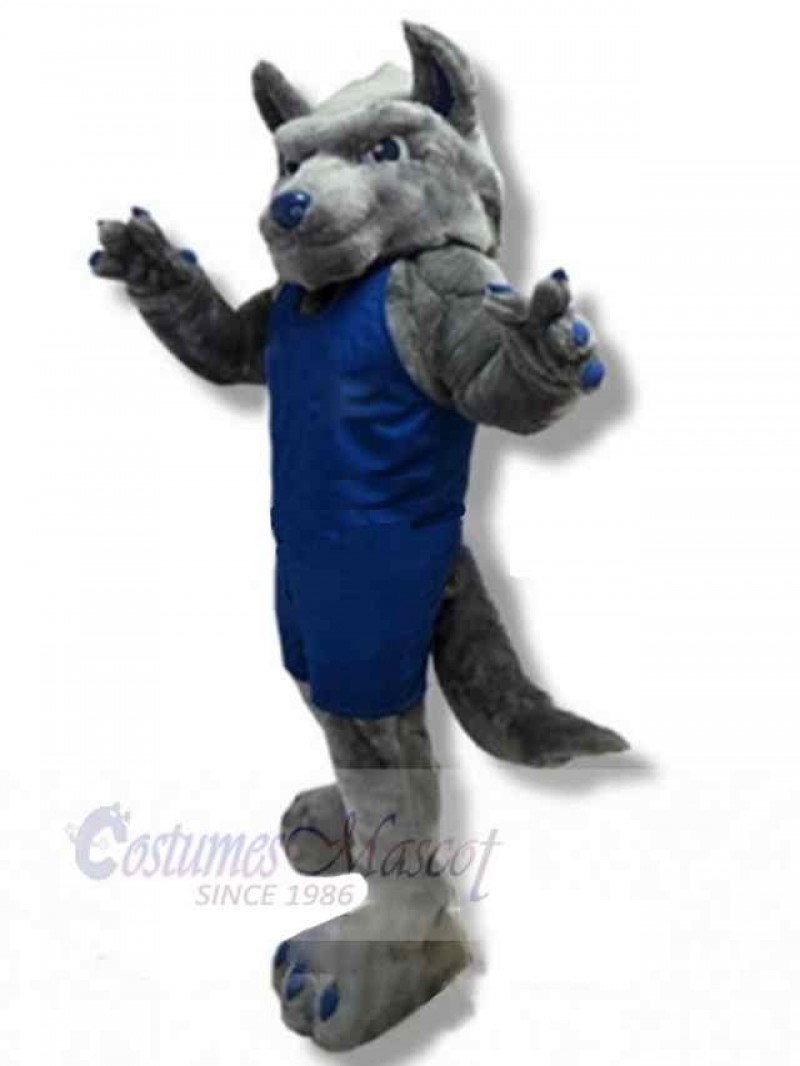Wolf mascot costume