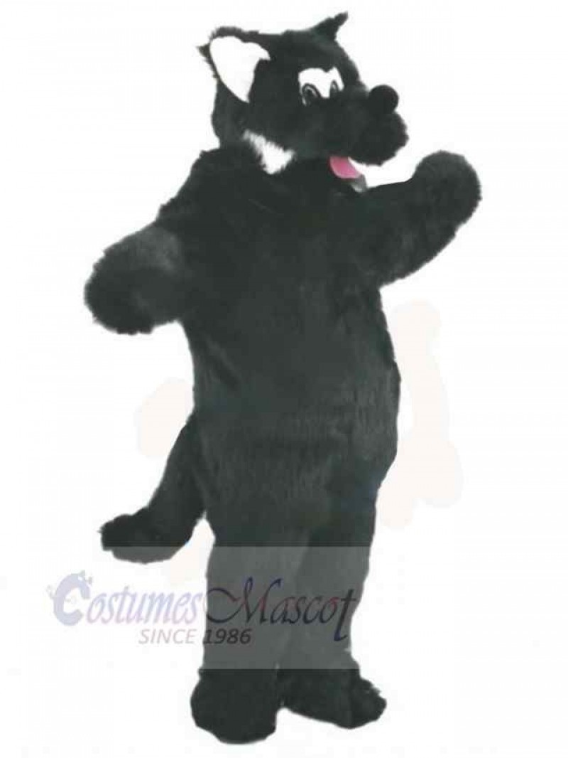 Wolf mascot costume