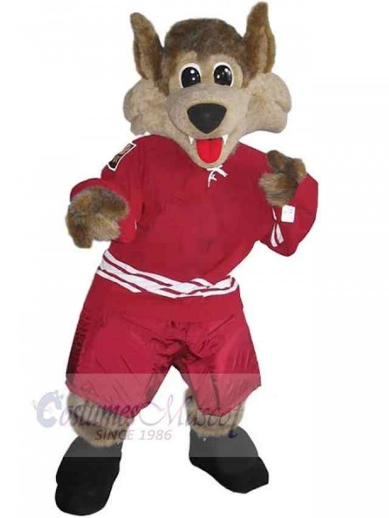 Wolf mascot costume