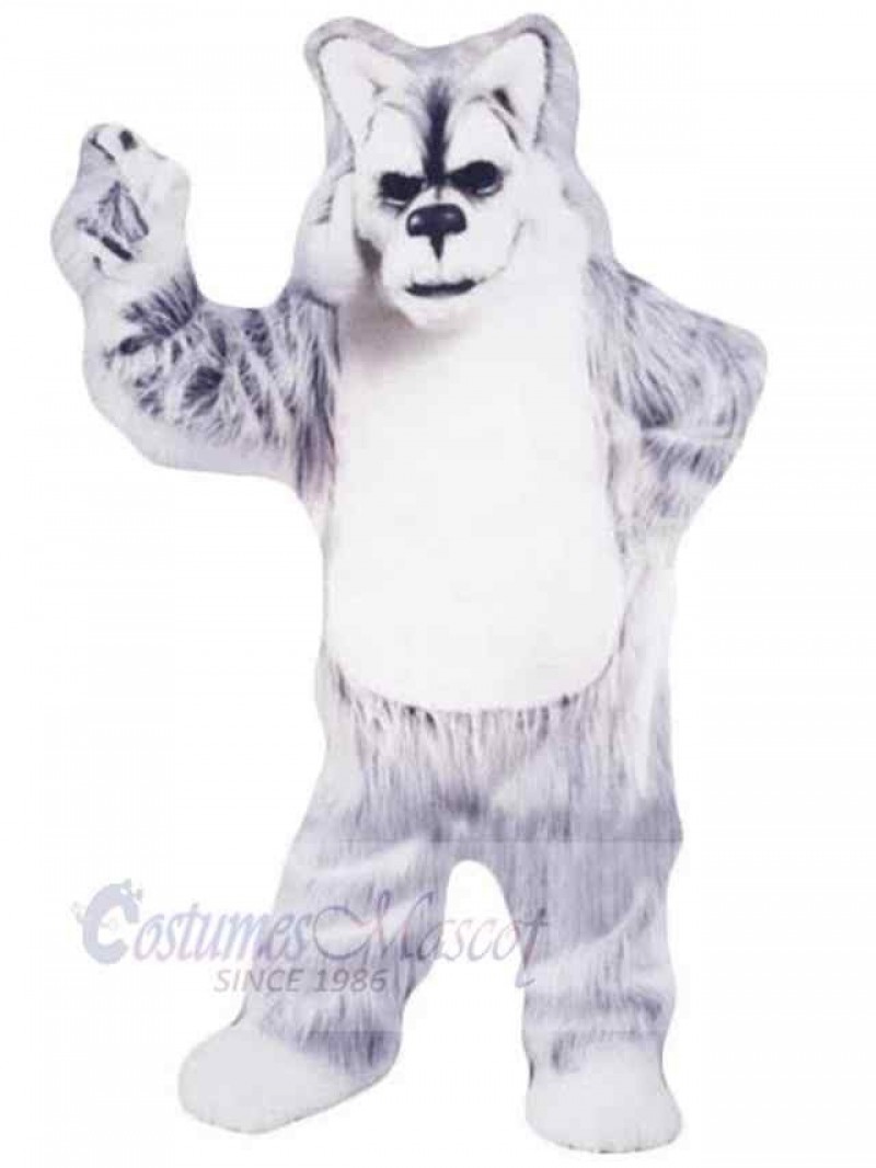 Wolf mascot costume