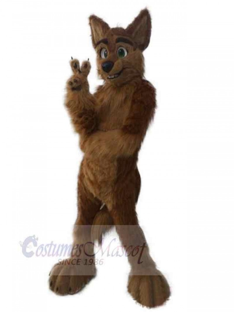 Wolf mascot costume